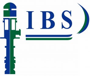 INTEGRADORA DE BOMBAS SUMERGIBLES S. DE R.L DE C.V